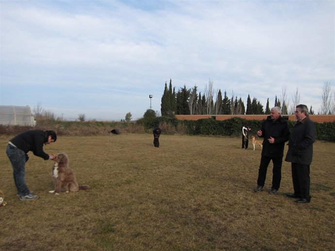El alcalde Belloch ha asistido a un ejercicio de adiestramiento de perros