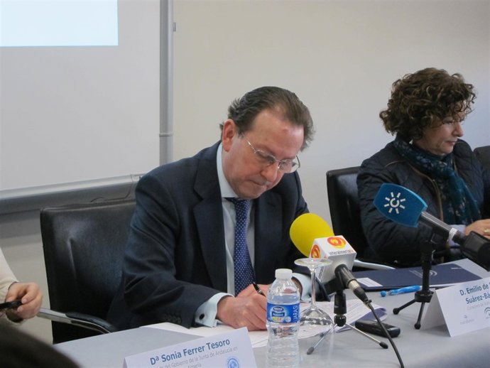 El consejero de Justicia e Interior, Emilio de Llera