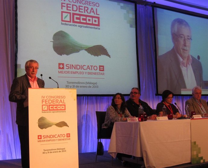 Ignacio Fernández Toxo