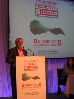 Ignacio Fernández Toxo