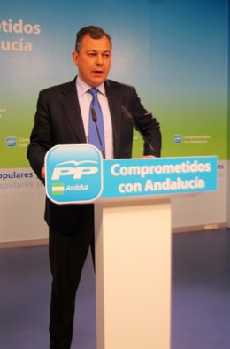 El secretario general del PP-A, José Luis Sanz, hoy en rueda de prensa