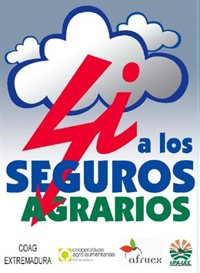 OPAs, cooperativas y fruticultores aseguran que las declaraciones de Monago "reafirman" el "abandono" a los seguros