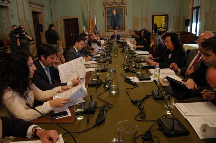 Sesión plenaria del mes de enero en el Ayuntamiento de Huelva. 