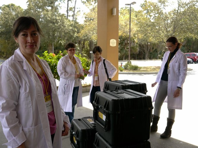 Cientificos Españoles Ya Preparan El Tesoro Del Odyssey Para Su Regreso