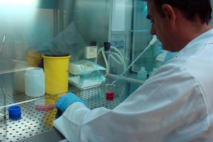 Extracción de células madre