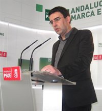 PSOE-A pide a Zoido que en vez de poner "la mano en el fuego" por Arenas, le exija una explicación sobre cuentas del PP