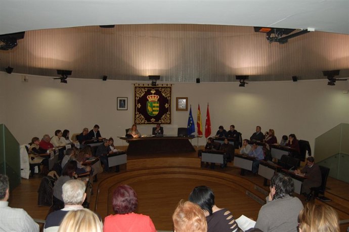 Celebración del Pleno