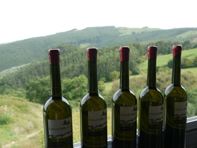 Vino, bodegas Vidular, Cantabria