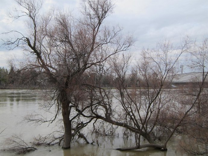 La avenida ha anegado en total más de 15.000 hectáreas