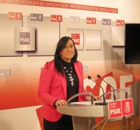 PSCyL da la "bienvenida" a la publicación de la información patrimonial de Herrera, pero considera que "llega tarde"