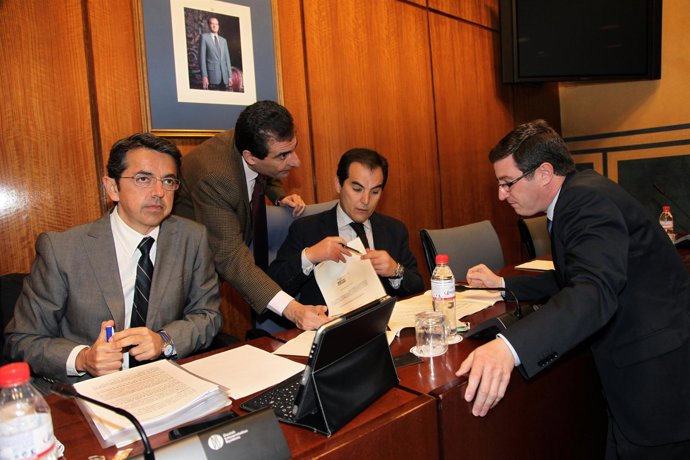 Carrasco, durante su comparencia en comisión parlamentaria