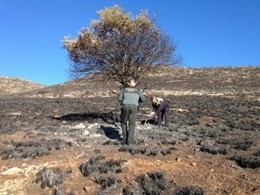 Agentes de la Guardia Civil realizan una inspección ocular en la zona quemada.