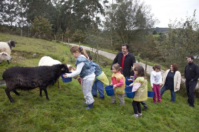 Actividades de la Granja-Escuela de la Garma de Llanos