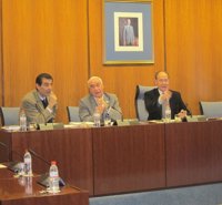 Alonso afirma en el Parlamento que los nuevos horarios de los museos responden a "una demanda social y del turismo"