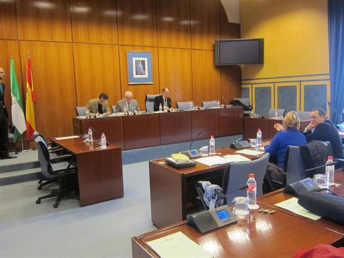 El consejero de Cultura y Deporte en comisión parlamentaria