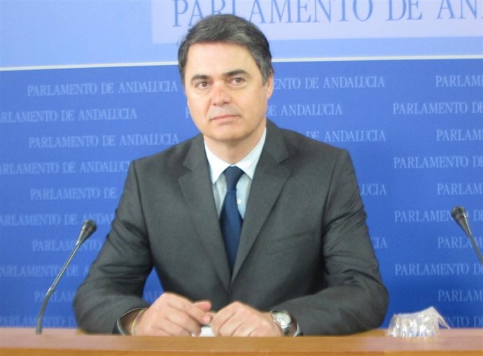 El portavoz del Grupo Parlamentario Popular, Carlos Rojas, hoy en rueda de prens