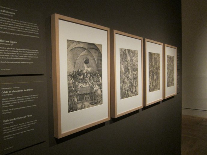La exposición hace un recorrido cronológico por la producción de Durero