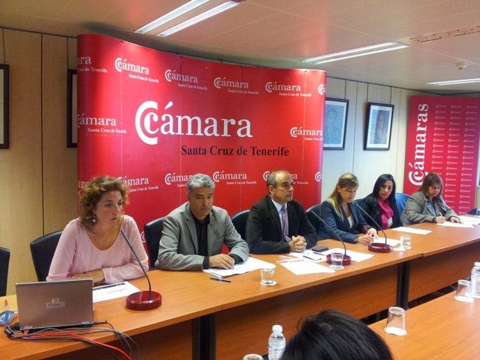 Presentación del ICE