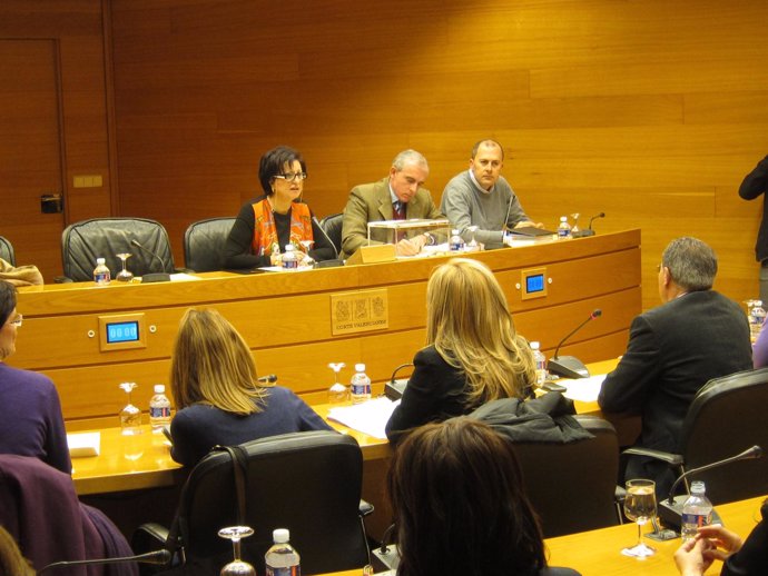Comisión de Educación en las Corts Valencianes
