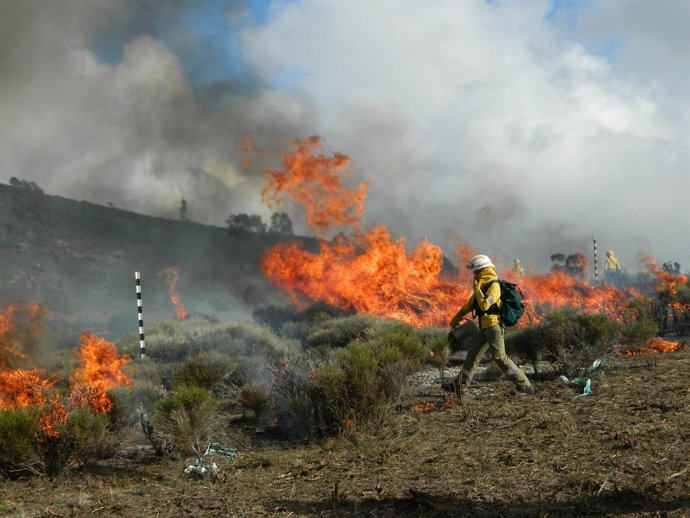 Incendio en varios frentes
