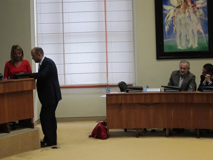 Comisión parlamentaria