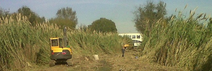 El ACA finaliza los trabajos de recuperación del cauce del Riu Clar