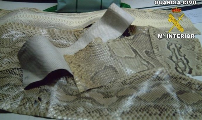 Pieles de pitón decomisadas