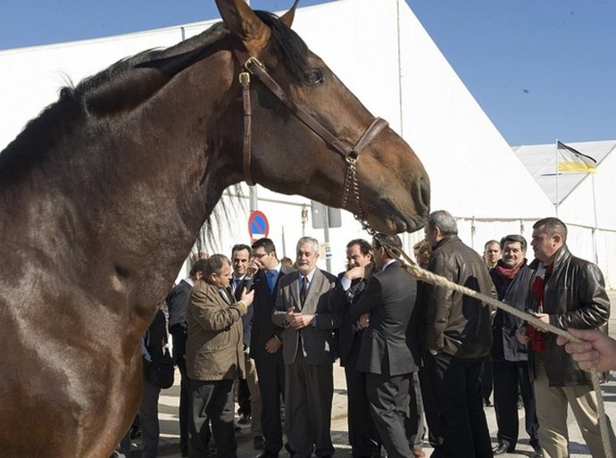 El presidente de la Junta de Andalucía, José Antonio Griñán, en Rociana (Huelva)