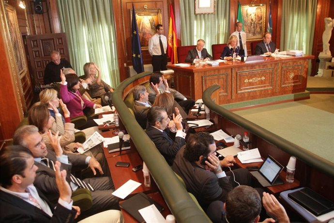 Pleno del Ayuntamiento de Marbella