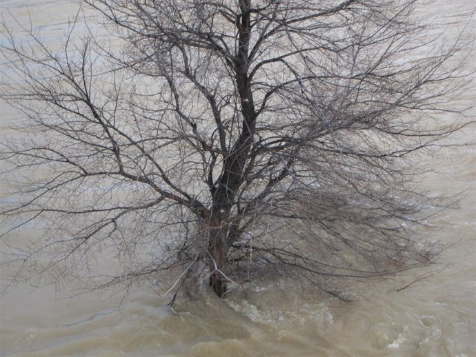 Se mantiene el nivel de preemergencia en Boquiñeni