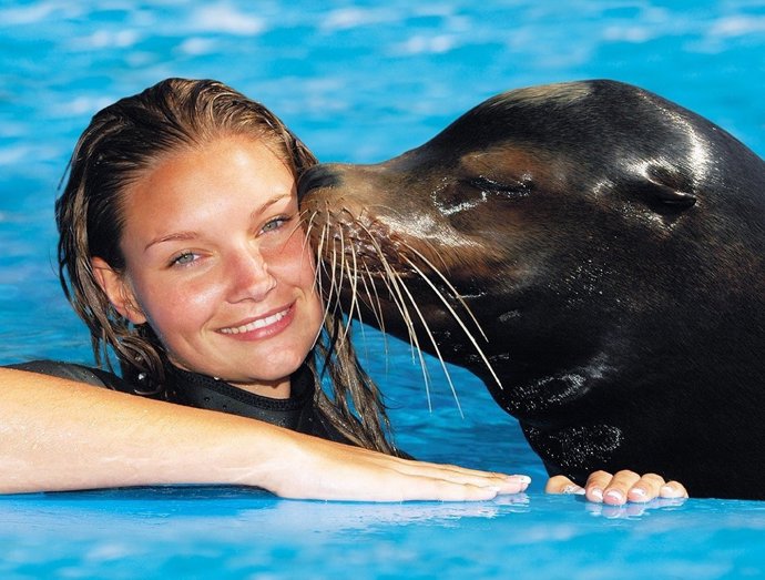 Delfín en Aqualand, Maspalomas