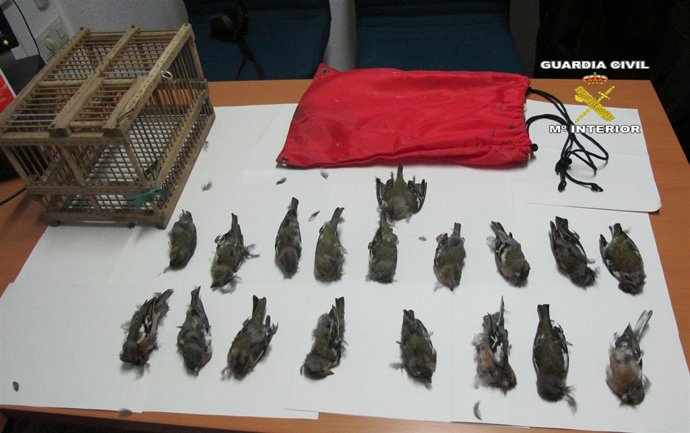 Aves intervenidas a un vecino de Torreblanca (Castellón).