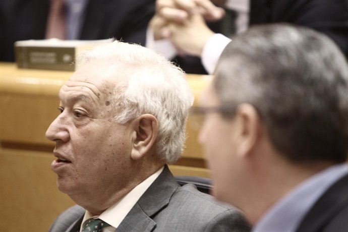 Margallo en el Senado