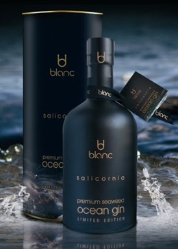 Ocean Gin sorprende con nuevos productos.