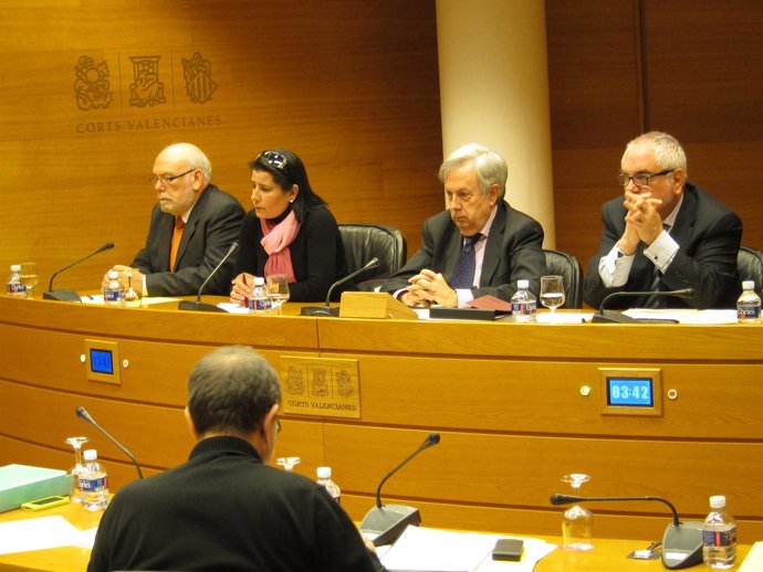 Exvocal de CAM, la segunda por la izquierda, en la comisión en las Corts