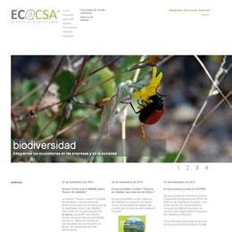 Página web Ecoacsa