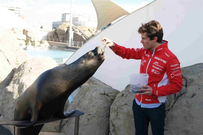Nico Terol se convierte en entrenador por un día en l'Oceanogràfic.