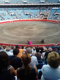 El Congreso pone en marcha la declaración de los toros como bien cultural