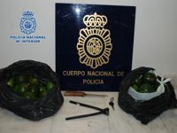 Detenido por sustraer aguacates en una finca agrícola de Motril