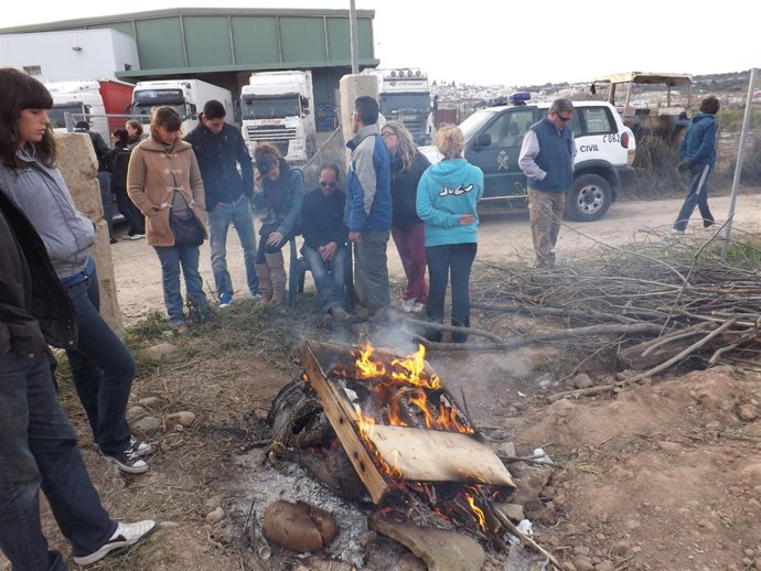 Trabajadores contentrados ante la empresa citrícola de Almodóvar