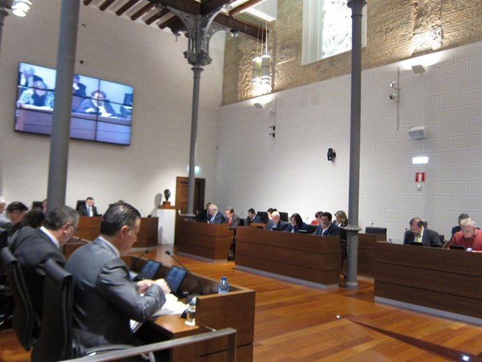 Pleno de la Diputación Provincial de Zaragoza (DPZ)