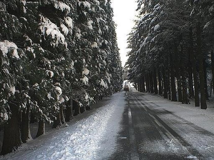 Carretera con nieve.