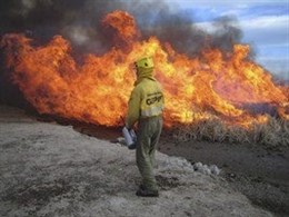 Realizan quemas controladas de carrizos en el Parc Natural del Delta de l'Ebre