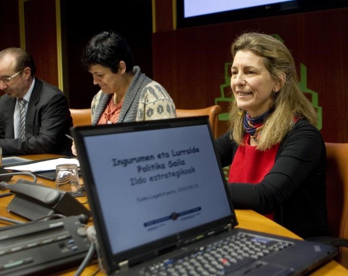 Comparecencia de ana oregi