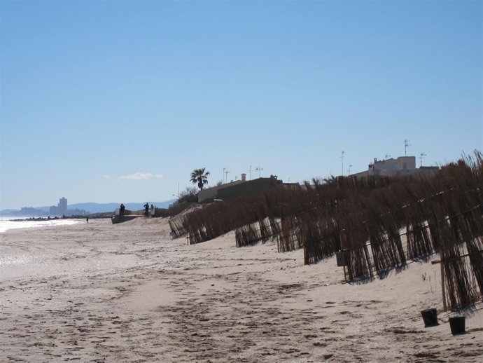 Playa de La Garrofera, El Saler, tras los trabajos de regeneración