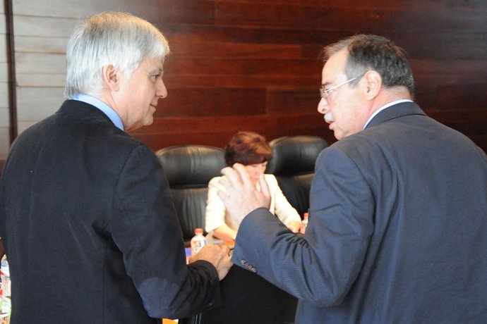 Pérez y Berriel, en Consejo de Gobierno