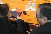 Canarias remitirá un informe al Estado para desbloquear las renovables en las islas