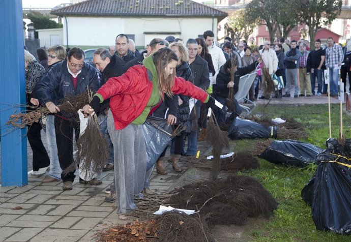 Entrega de árboles y plantas en Camargo 