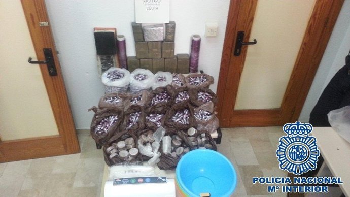 Material incautado en la operación