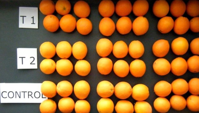 Riego deficitario en navelinas